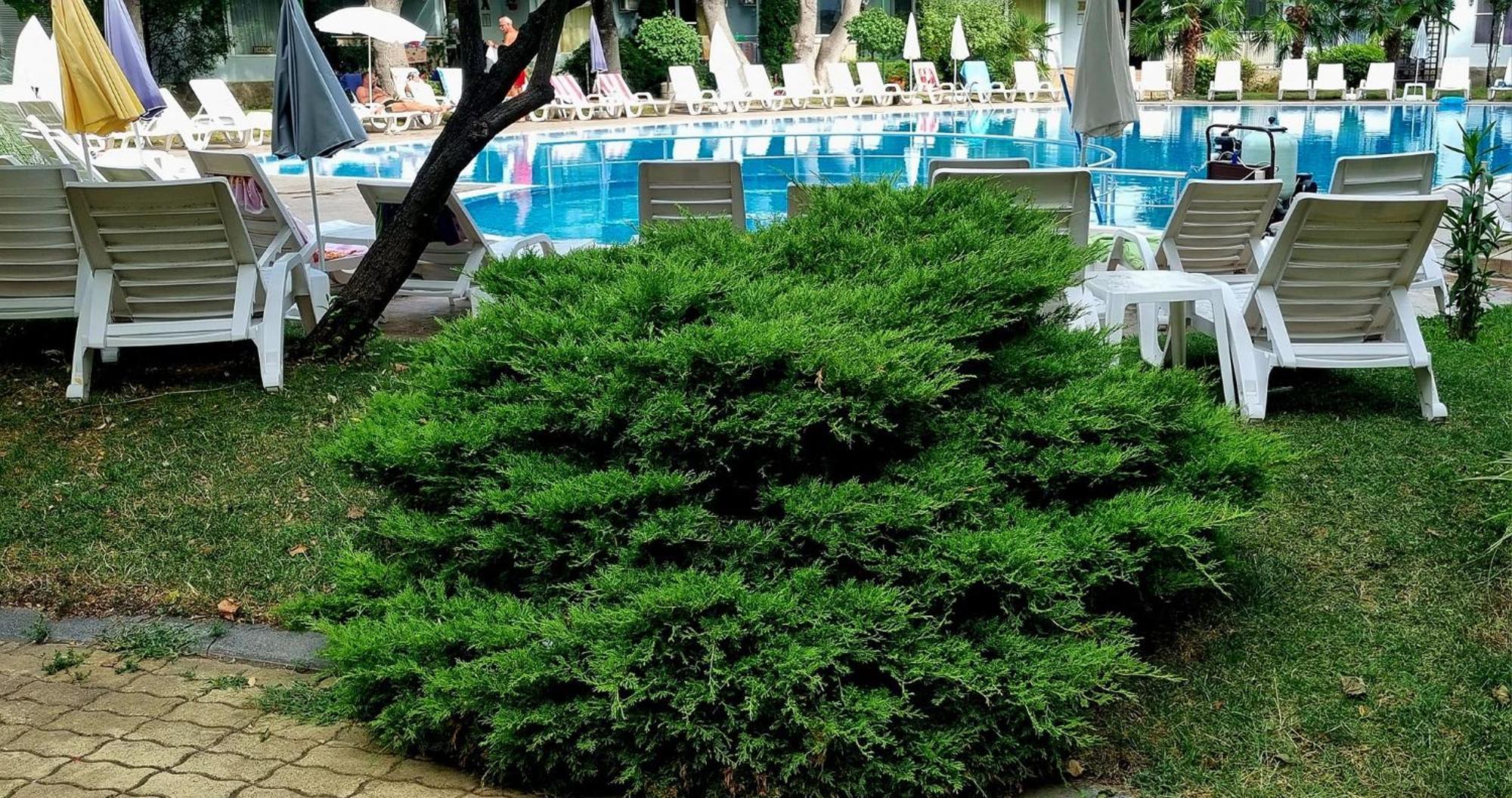Yassen VIP Apartaments Slantschew brjag Exterior foto